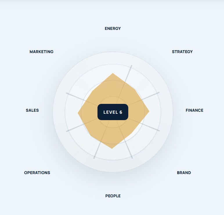 Level 6 Business Wheel showing eight interconnected business areas